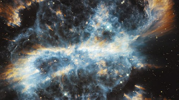 Das XENOSYS Phänomen